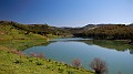 DSCN8236