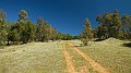 DSCN8254