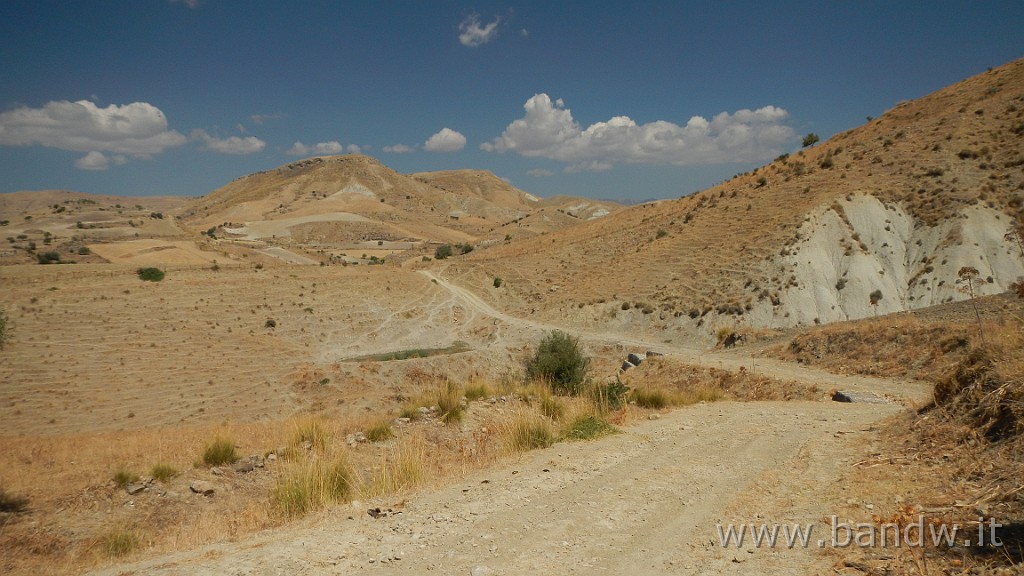 DSCN1913.JPG -                                