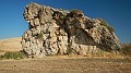 DSCN1878
