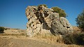 DSCN1879