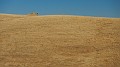 DSCN1888
