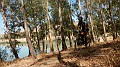 DSCN1900