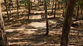 DSCN1903