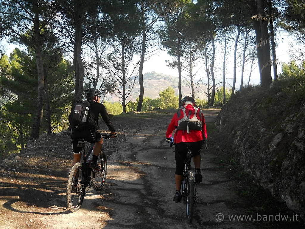 DSCN1797.JPG - Saliamo sempre di più