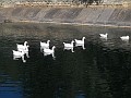 DSCN1843