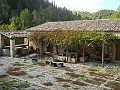 DSCN1847