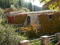 DSCN1851