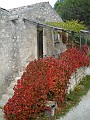 DSCN1860