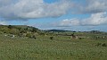 DSCN1812
