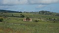 DSCN1813