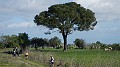 DSCN1829