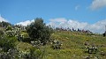 DSCN1852