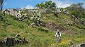 DSCN1853