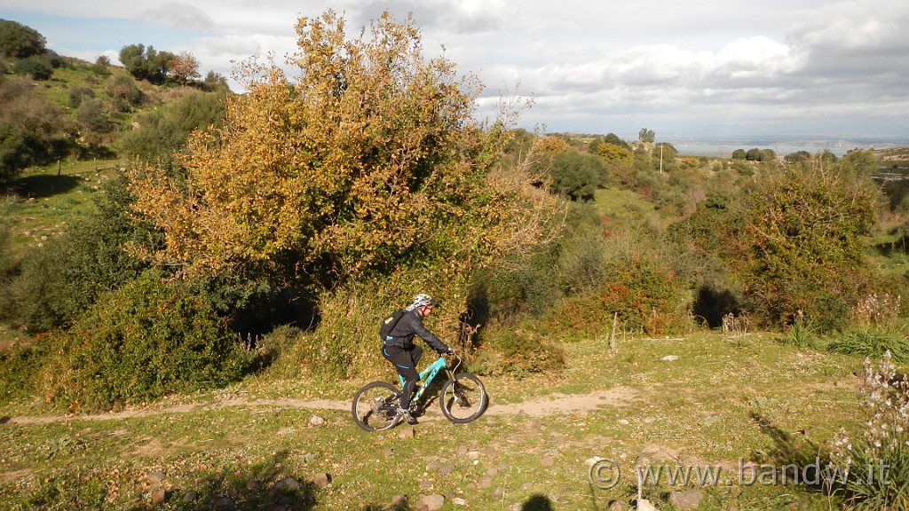 DSCN7606.JPG -                                