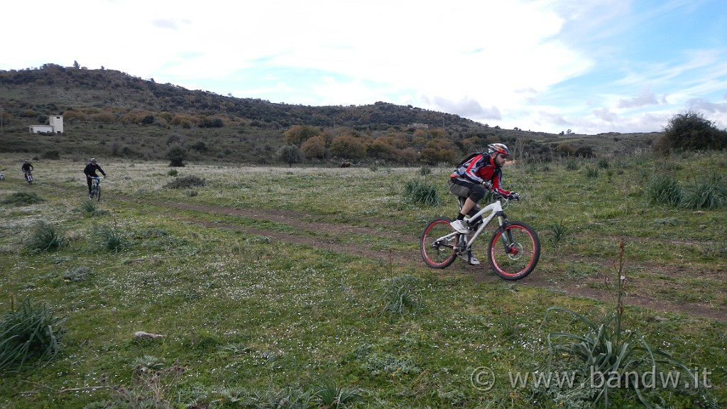 DSCN7634.JPG -                                