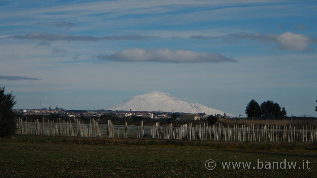 DSCN7661.JPG -                                