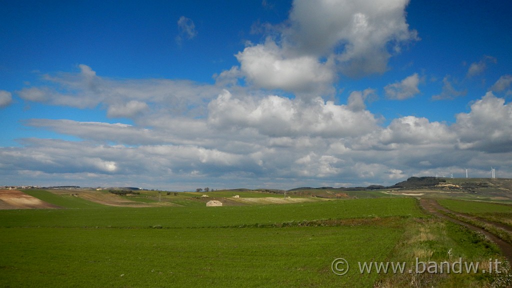 DSCN7711.JPG -                                