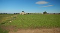 DSCN7663