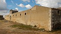 DSCN7686