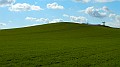 DSCN7705