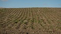 DSCN7709