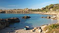 DSCN2275