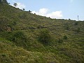 DSCN4571