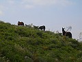 DSCN4573