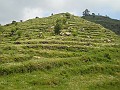 DSCN4580
