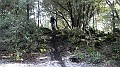 DSCN0018