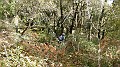 DSCN0039
