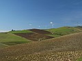 DSCN8809