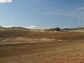 DSCN8815