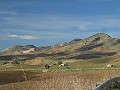 DSCN8816