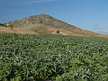 DSCN8817