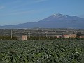 DSCN8819