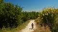 DSCN0012