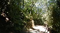 DSCN0015