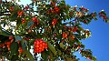 DSCN9995