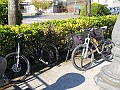 DSCN3993