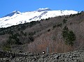 DSCN4011