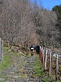 DSCN4012
