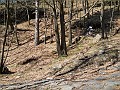 DSCN4017