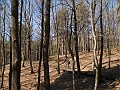 DSCN4030