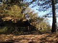DSCN4033