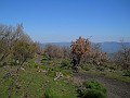 DSCN4062