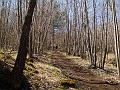 DSCN4071