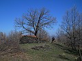 DSCN4075