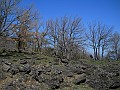 DSCN4092
